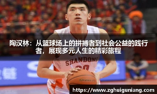 陶汉林：从篮球场上的拼搏者到社会公益的践行者，展现多元人生的精彩旅程